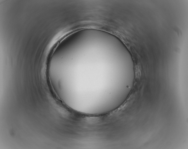 X0000111000150200907022144