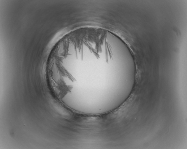 X0000111000151200907022144