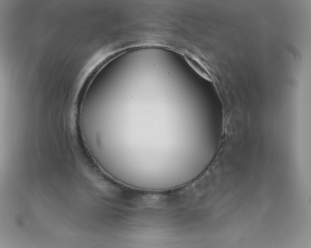 X0000111000152200907022144