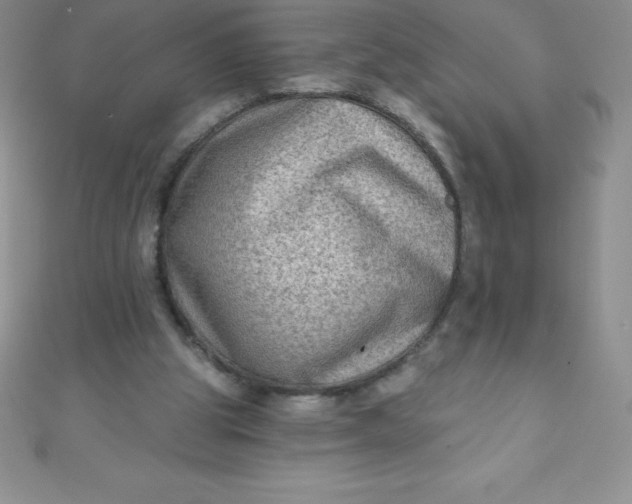 X0000111000153200907022144