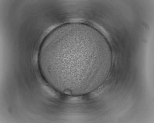 X0000111000155200907022144