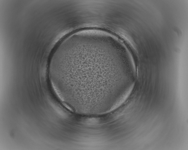 X0000111000156200907022144