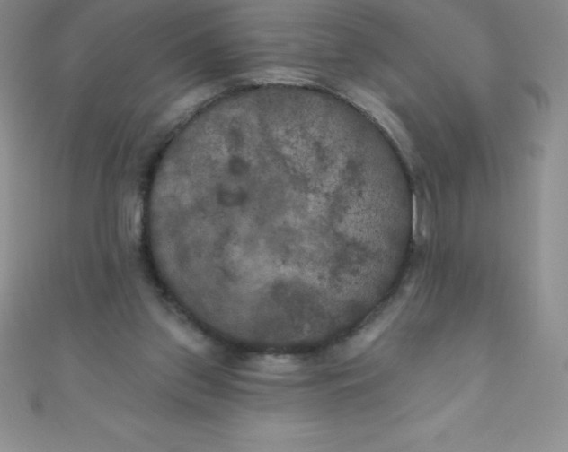 X0000111000157200907022144