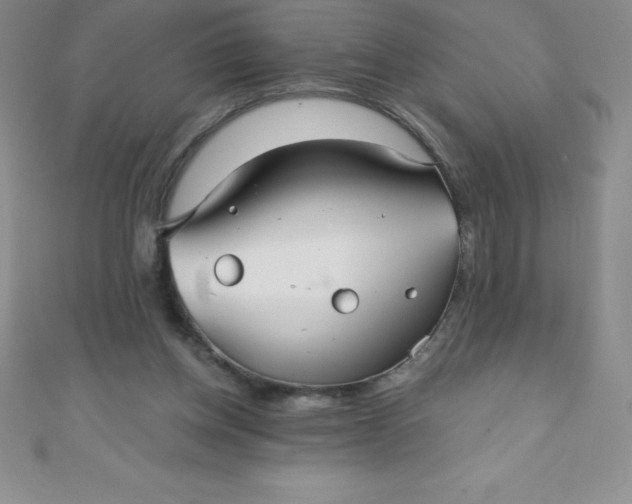 X0000111000158200907022144