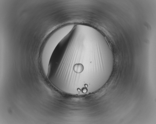 X0000111000160200907022144