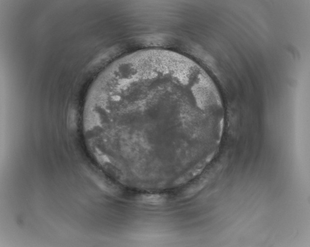 X0000111000161200907022144