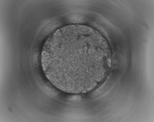 X0000111000162200907022144