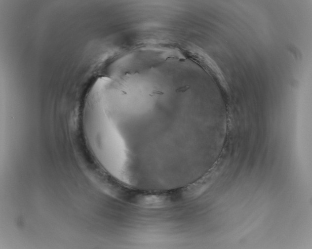 X0000111000163200907022144