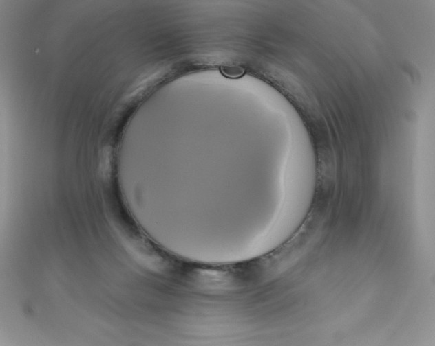 X0000111000167200907022144