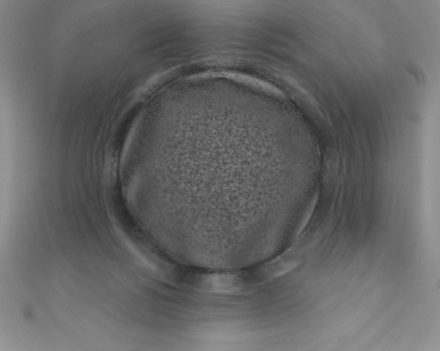 X0000111000168200907022144