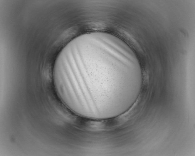 X0000111000170200907022144