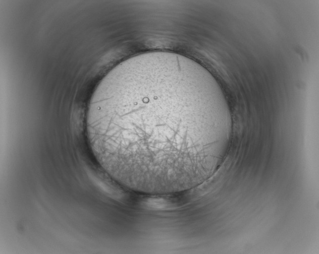 X0000111000171200907022144