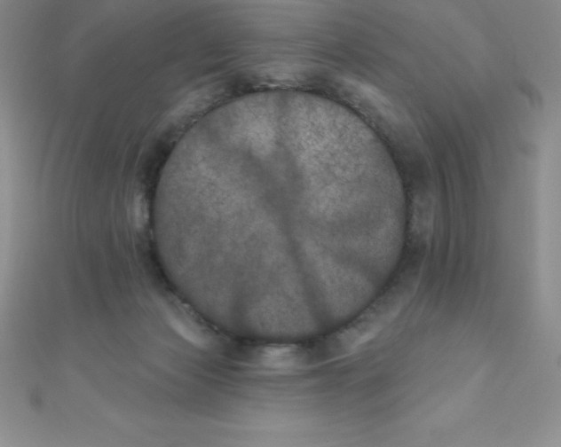 X0000111000173200907022144