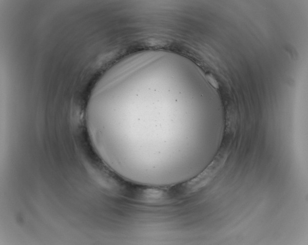 X0000111000176200907022144