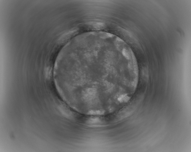 X0000111000177200907022144