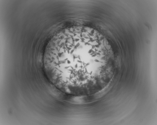 X0000111000178200907022144