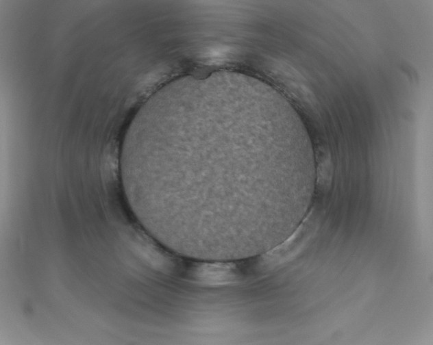 X0000111000179200907022144