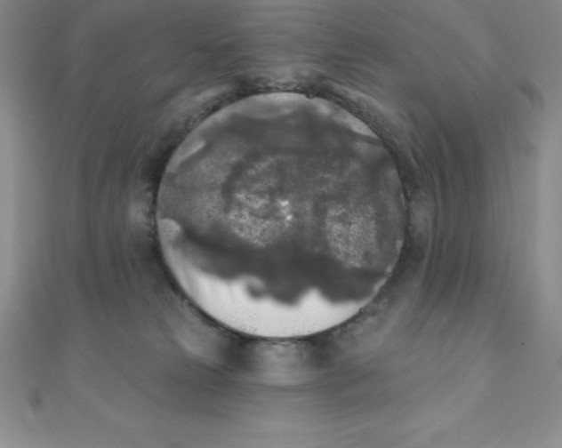 X0000111000181200907022145