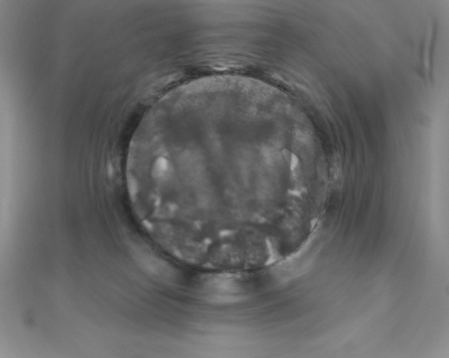 X0000111000182200907022145