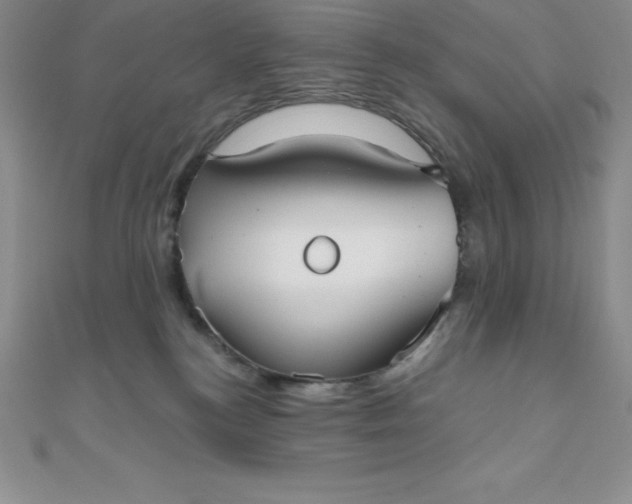 X0000111000184200907022145