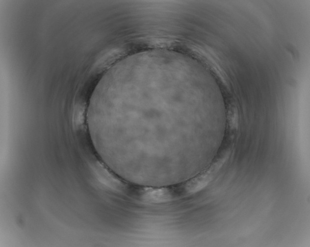 X0000111000185200907022145