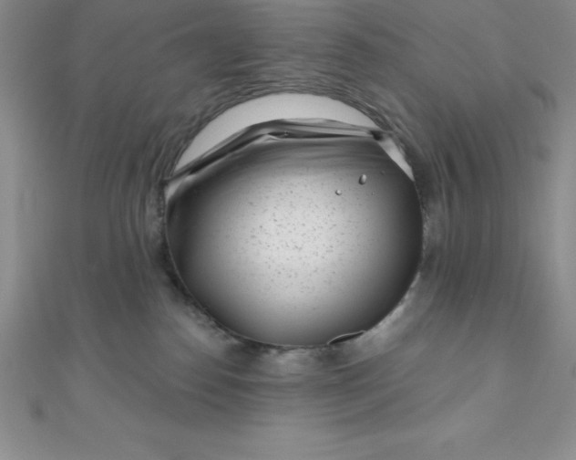 X0000111000186200907022145