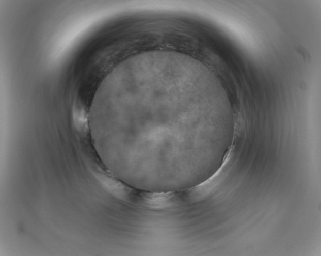 X0000111000191200907022145