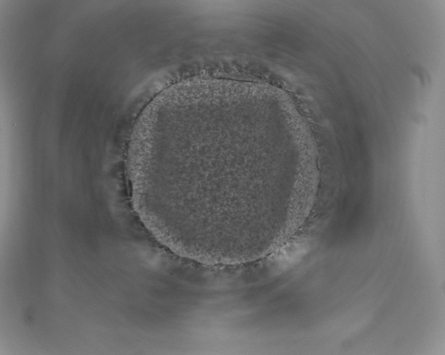 X0000111000192200907022145