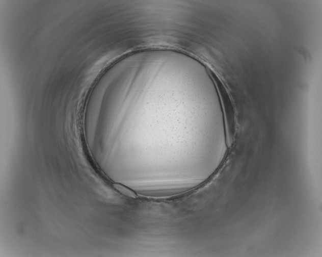 X0000111000193200907022144