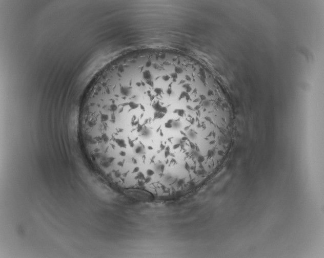 X0000111000194200907022144