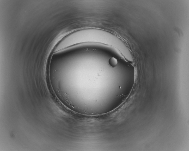 X0000111000195200907022144