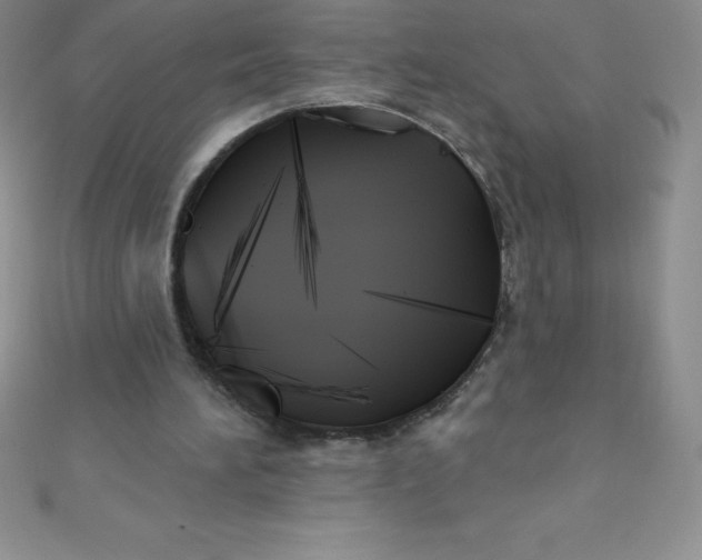 X0000111000196200907022144