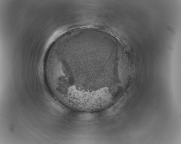 X0000111000198200907022144