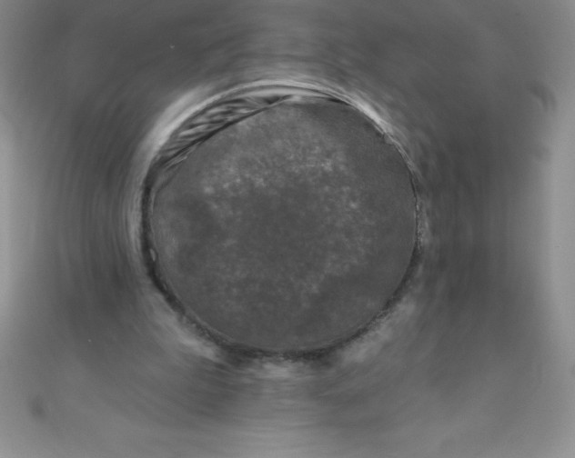 X0000111000199200907022144