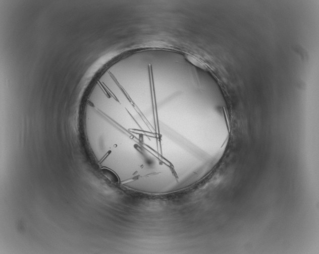 X0000111000200200907022144