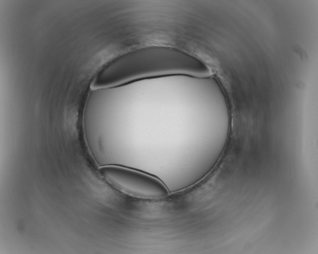 X0000111000201200907022144