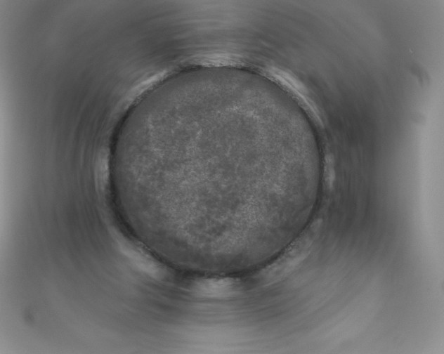 X0000111000202200907022144