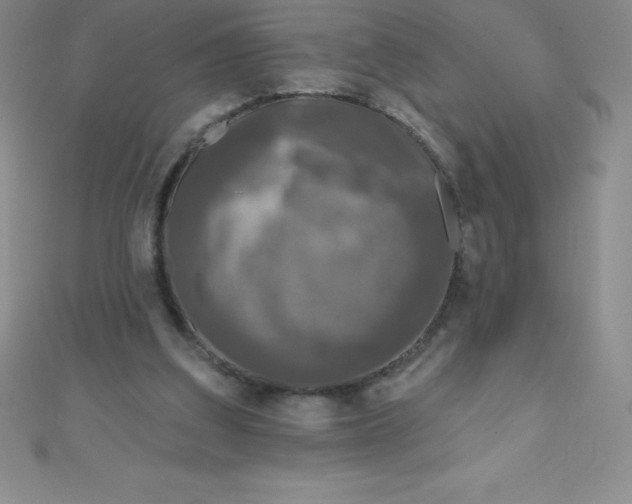 X0000111000203200907022144