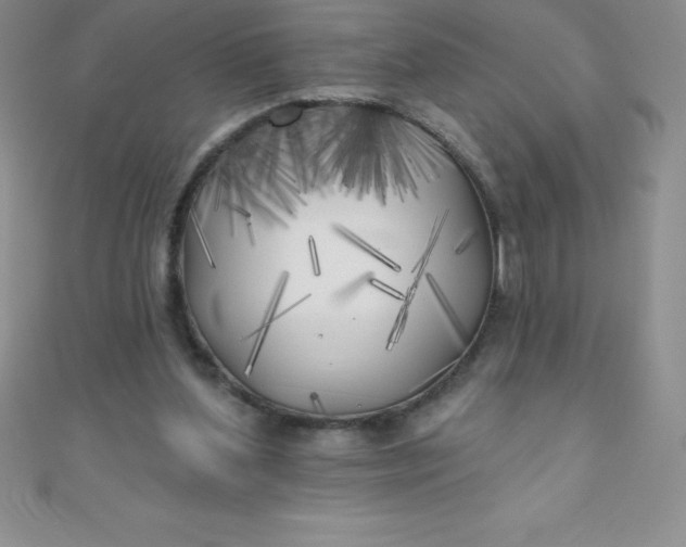 X0000111000204200907022144