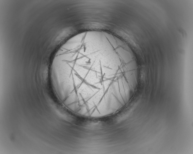 X0000111000206200907022144