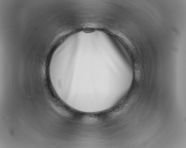 X0000111000207200907022144