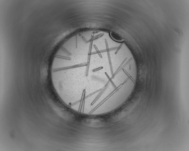 X0000111000208200907022144