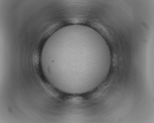 X0000111000210200907022144