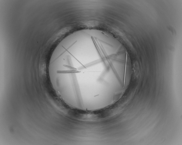 X0000111000212200907022144