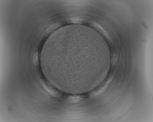 X0000111000213200907022144