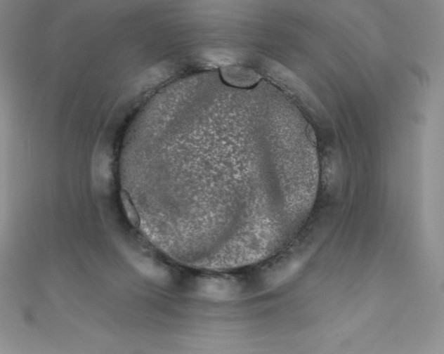 X0000111000215200907022144