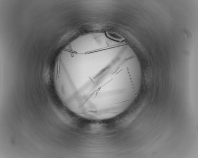 X0000111000216200907022144