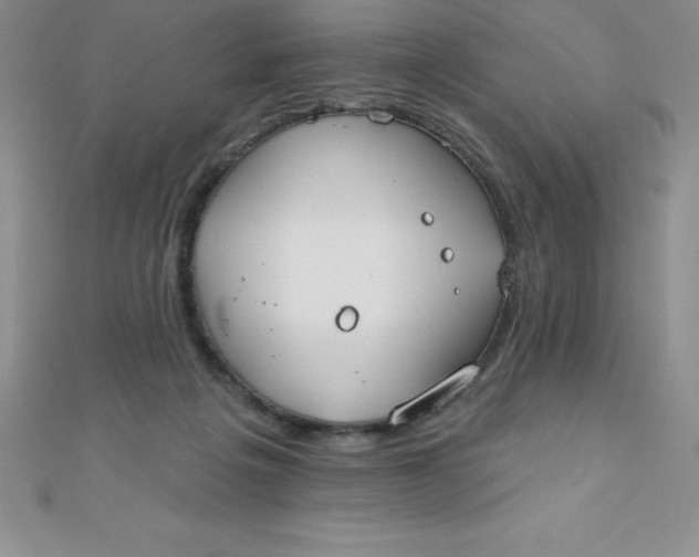 X0000111000217200907022144