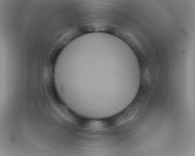 X0000111000218200907022144