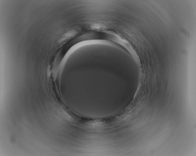 X0000111000219200907022144